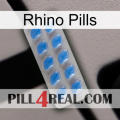 Rhino Pills 22